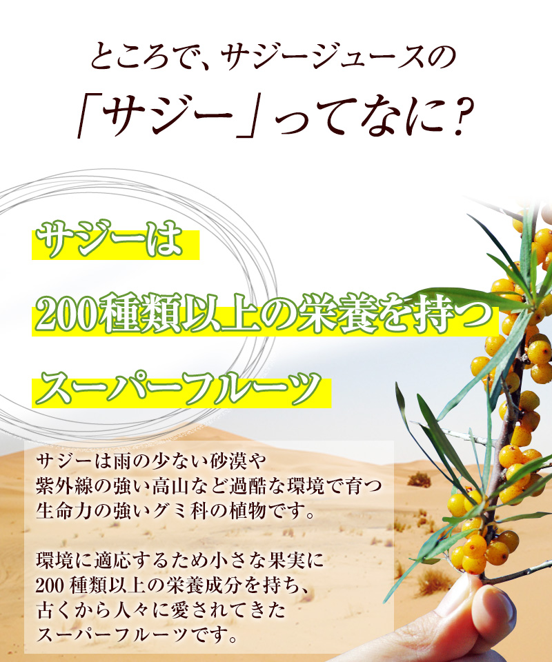 ところで、サジージュースの「サジー」ってなに？